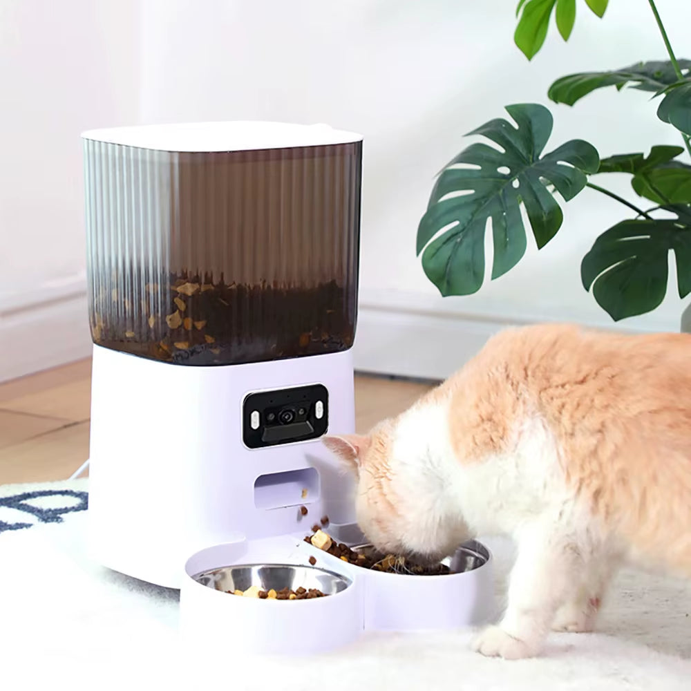 Comedero automático WiFi para gatos y perros, con cámara opcional, vista de detalle 3
