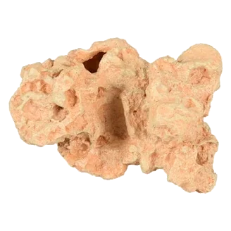 Corail Sahara décoration aquarium