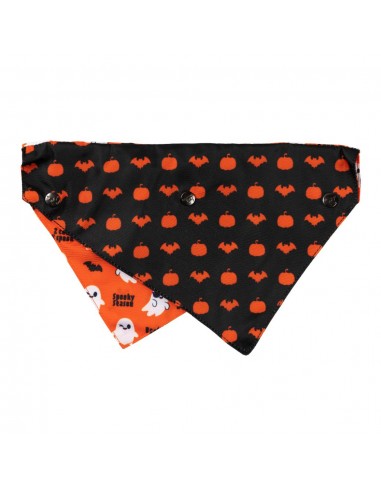 Nœud papillon d'Halloween pour chien FuzzYard Spooky Ghost M/L