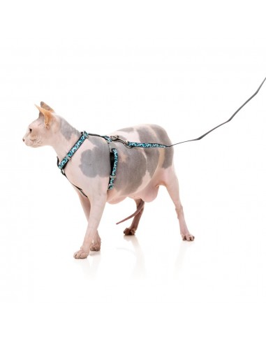 Harnais pour chat avec laisse FuzzYard Wild One Aqua