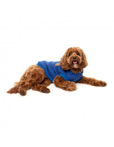 Sweat à capuche pour chien FuzzYard The Homies, bleu (taille 1)