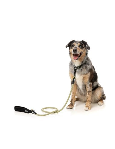 Laisse corde pour chien FuzzYard FY Active kaki, 155 cm