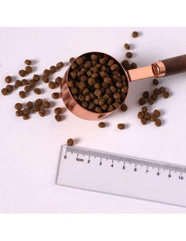 Croquettes pour chat sans céréales Kit Cat No Grain poulet et saumon, 1 kg