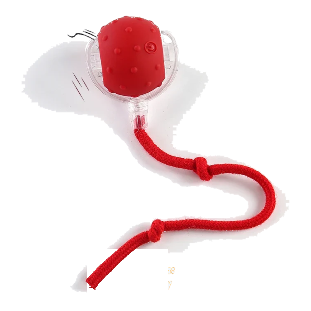 Balle automatique pour chat rouge avec son et cordelette