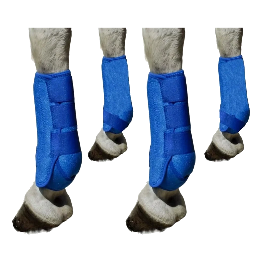 Lot de 4 guêtres de protection des tendons bleues pour cheval