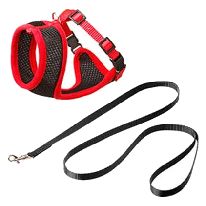 Kit harnais et laisse chaton, noir et rouge, 110 cm, 10 mm, taille S