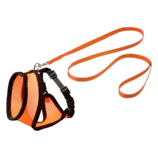 Kit harnais et laisse chat, orange et noir, 110 cm, 10 mm, taille M
