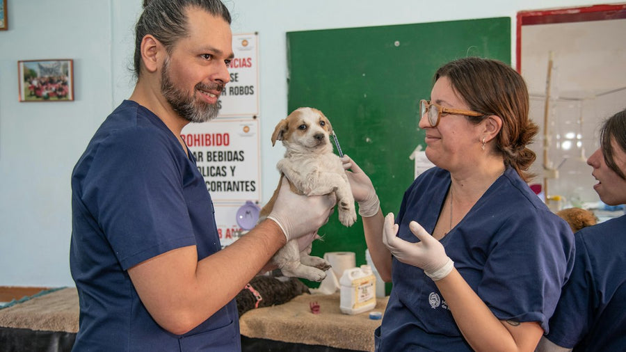 Hombre sosteniendo a un perro pequeño en la consulta