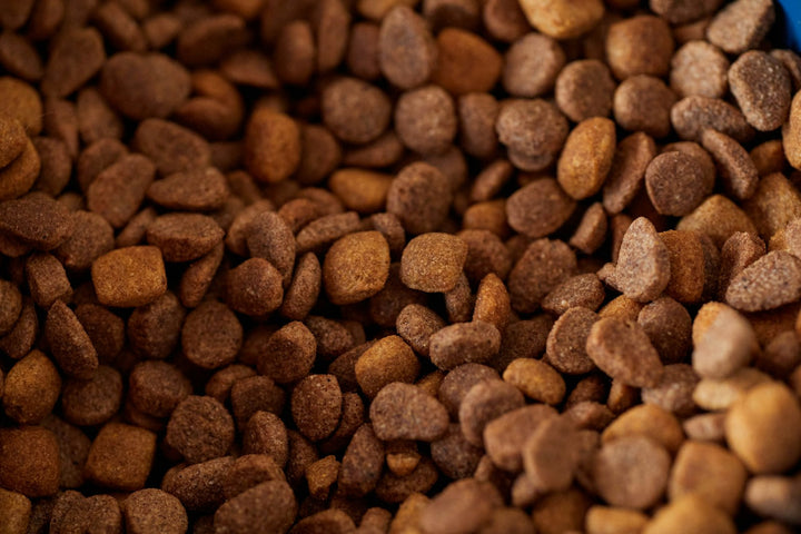 Primer plano de croquetas de pienso seco para mascotas