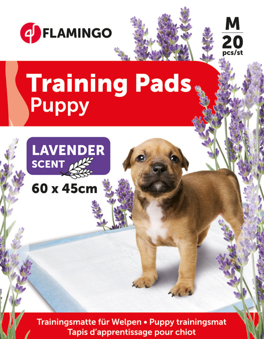Tapis éducateur pour chien T2 parfum lavande