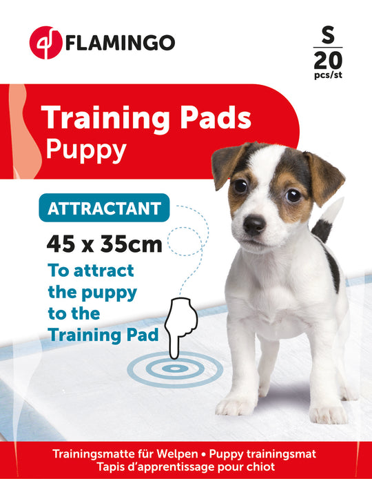 Tapis éducateurs pour chien avec attractif, taille 1