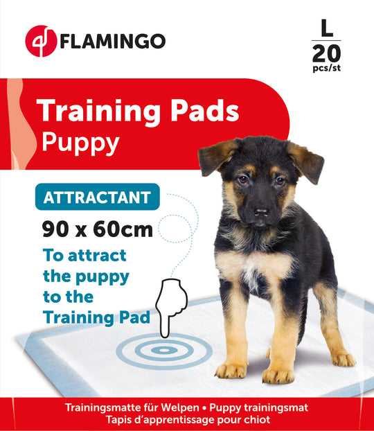 Tapis éducateur pour chien avec attractif T3 60 x 90 cm, lot de 20