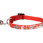 Collier chaton Nanou, 15–22 cm, 10 mm, assortis – image 2