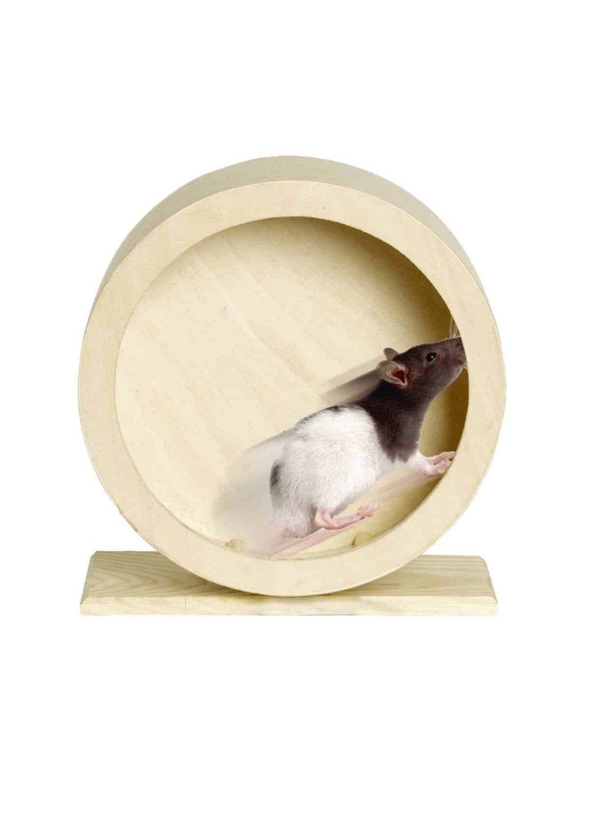 Roue en bois Danco pour rongeurs, 29 cm de diamètre – image 2