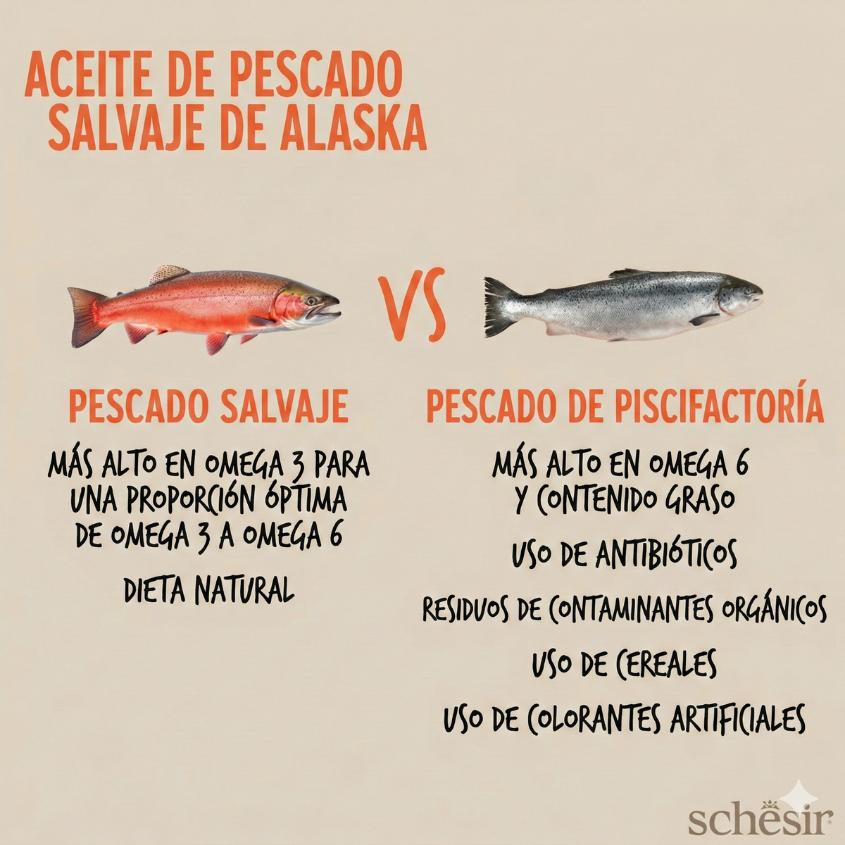 Huile de saumon d'Alaska Grizzly de Schesir