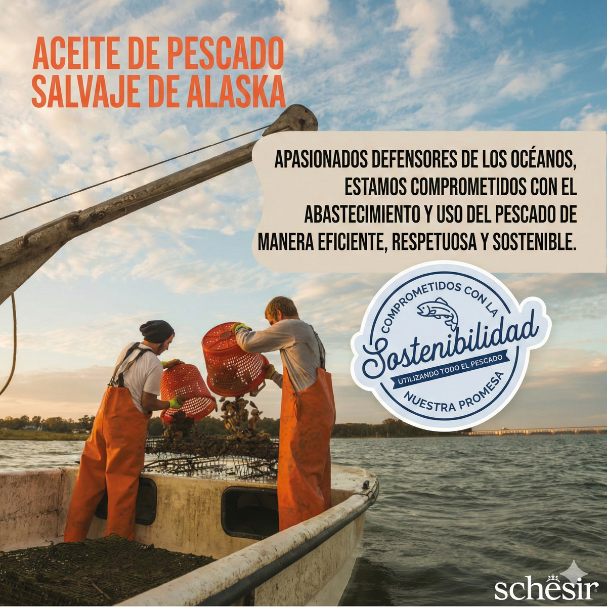Huile de saumon d'Alaska Grizzly de Schesir