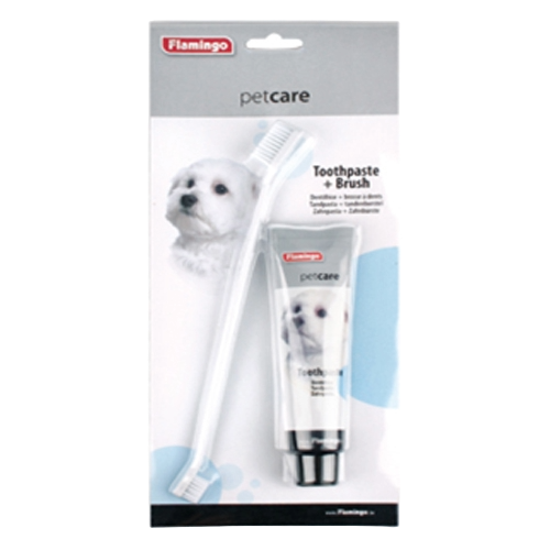 Kit hygiène dentaire chien