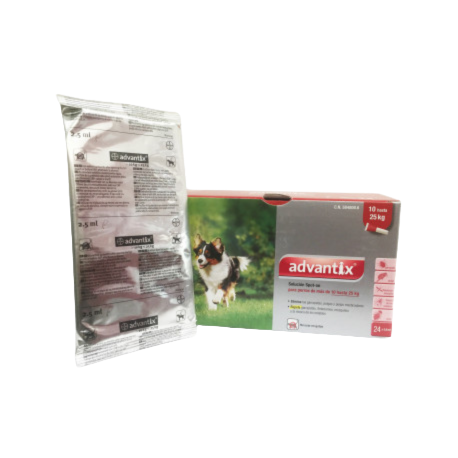 Pipette antipuce chien Advantix 10–25 kg, 4 pipettes (blister)
