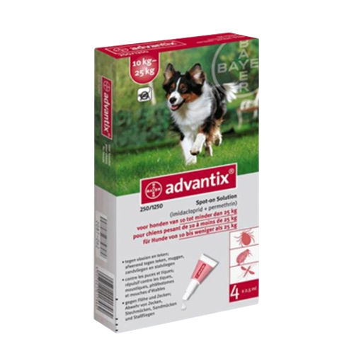 Pipette antipuce chien Advantix 10–25 kg, 4 pipettes