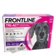Frontline Tri-Act pipettes antipuce chien 20–40 kg, 6 pipettes