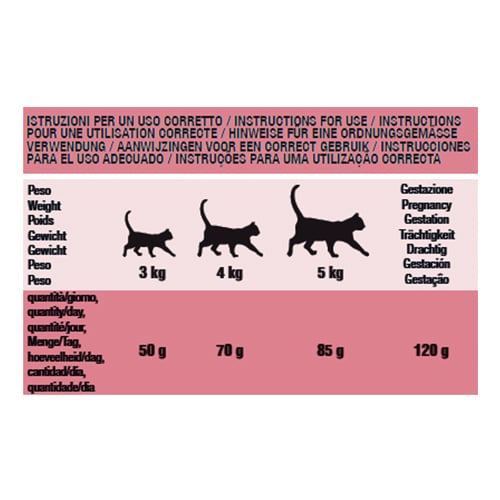 Croquettes chat Schesir Entretien jambon, 400 g – image 2
