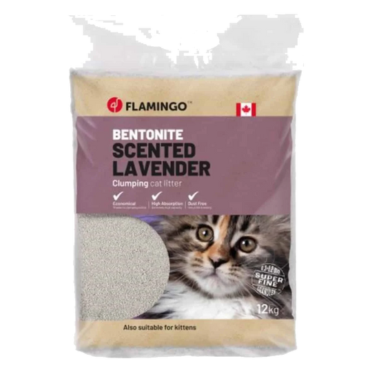 Litière chat agglomérante parfum talc, 12 kg
