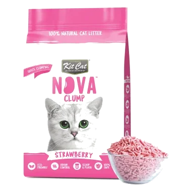 Litière pour chat végétale agglomérante Kit Cat NovaClump parfum fraise 7 L