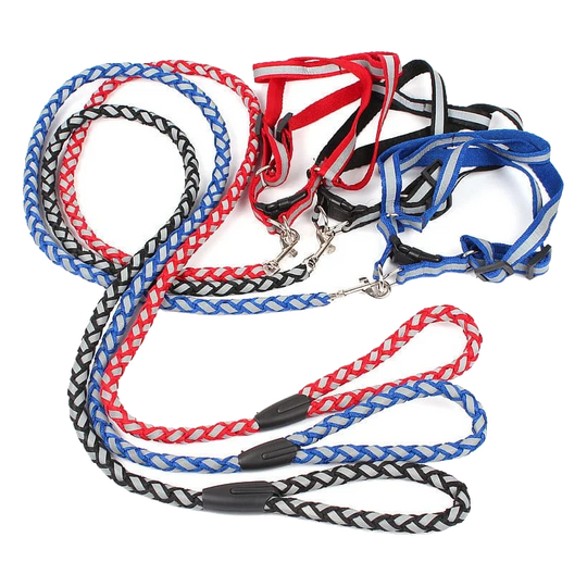 Harnais et laisse tressée pour chien, 8, 10 et 15 mm