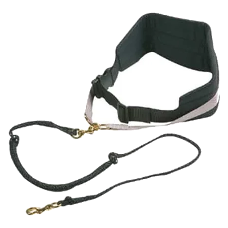 Harnais de canicross pour chien
