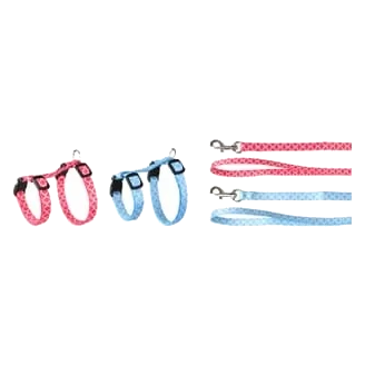 Harnais et laisse Amsi pour chaton, taille 1