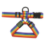 Harnais chien réglable Bub's Rainbow, 20 et 25 mm