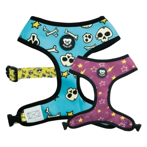 Harnais chien réversible Dukier Calaveras, bleu et violet, tailles T1 à T4
