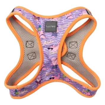 Harnais step-in pour chien FuzzYard Aloha Dolphins respirant