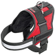 Harnais chien Xtreme Teflon rouge