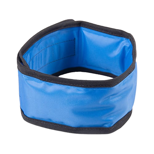 Bandana rafraîchissant pour chien