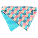 Bandana chien réversible FuzzYard Carioca taille S/M
