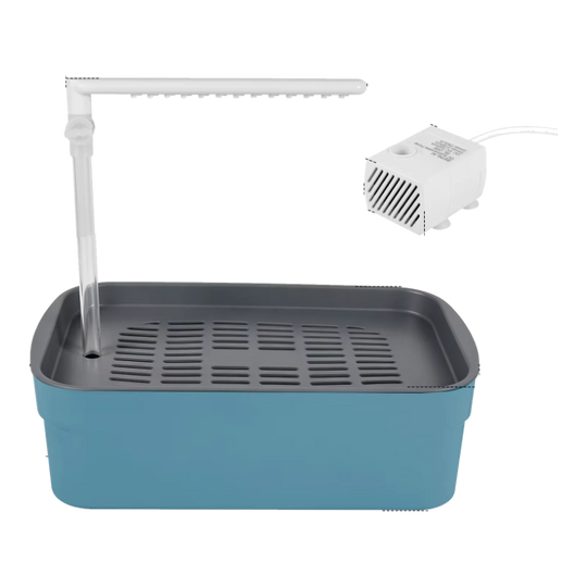 Baignoire oiseau avec douche automatique bleue grande et pompe USB