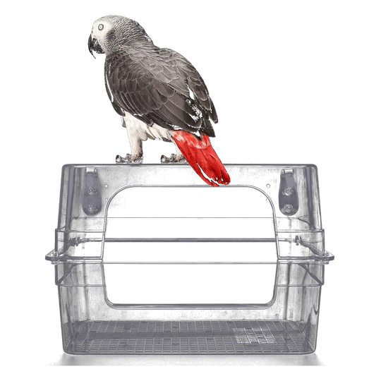 Grande baignoire oiseau transparente pour cage avec perroquet posé