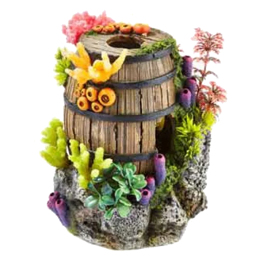 Tonneau avec plantes et corail décoration aquarium