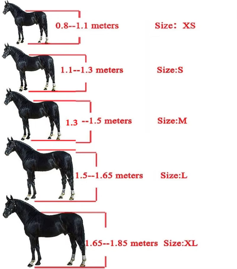 Cabezada acolchada ajustable para caballo, tallas XS a XL - vista 6
