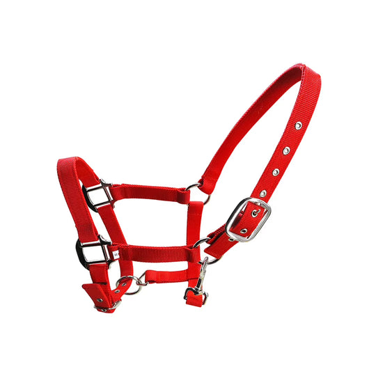 Cabezada acolchada para poni y caballo, tallas XS a XL