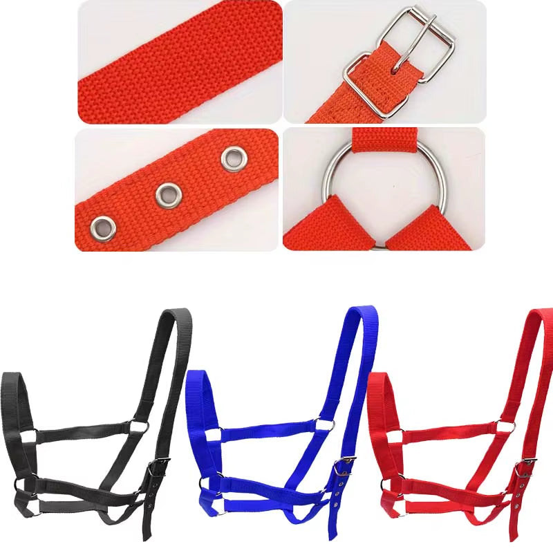 Cabezada de cuerda ajustable para caballo - vista 4