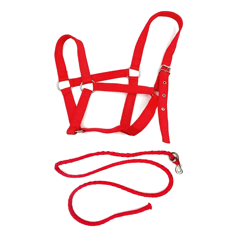 Conjunto de cabezada y ramal para caballo de color rojo