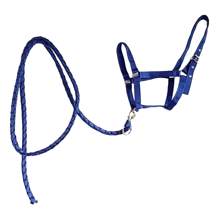Cabezada de nailon azul para caballo con ramal trenzado
