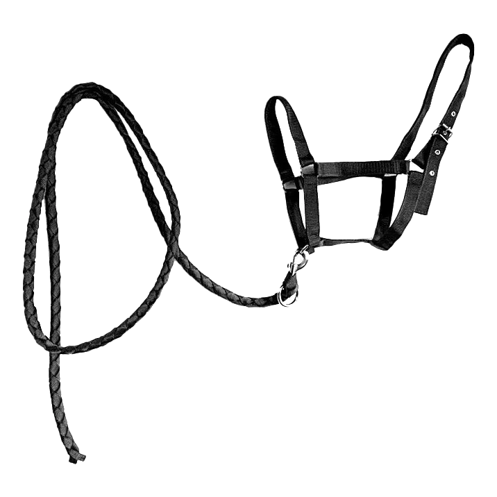 Cabezada de nailon negra para caballo con ramal trenzado