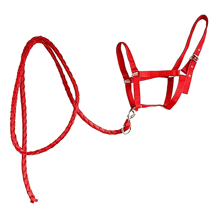 Cabezada de nailon roja para caballo con ramal trenzado