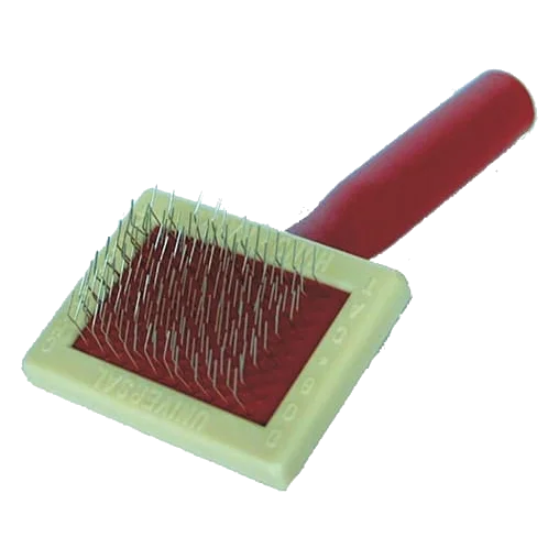 Mini carde pour chien, n° 13