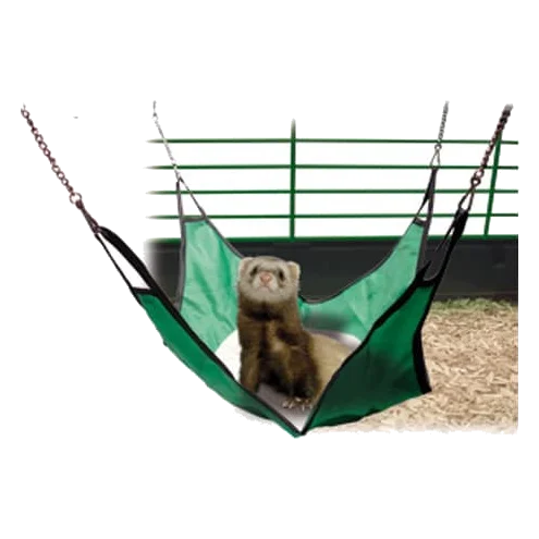 Maison pour furet