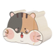 Cachette pour hamster avec motif tricolore