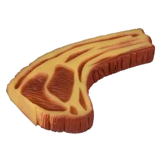 Jouet chien steak géant en vinyle, 22 x 13 x 3 cm
